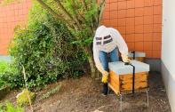 Apiculture urbaine : deux ruches à la caserne des pompiers