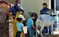 La ferme Tiligolo s'invite à l'école Exelmans