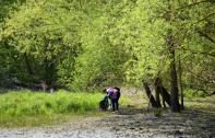 Opération forêt propre : samedi 2 octobre