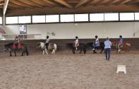 TAP - Découvrez l'atelier poney