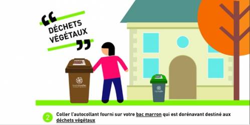 Pour mieux comprendre : changement des bacs à ordures ménagères et déchets végétaux