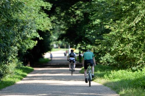 Tour de France en forêt : les règles à respecter