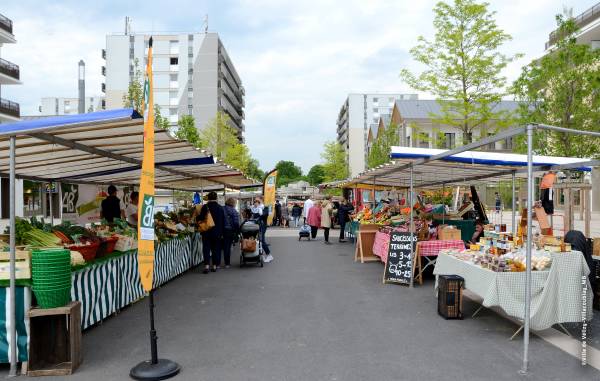 Louvois :  un écoquartier végétalisé !