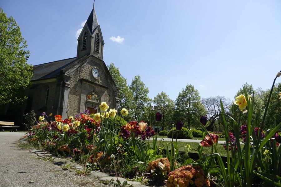 L'îlot végétalisé de l'étang du Trou aux Gants : un refuge pour la faune  locale - Ville de Vélizy-Villacoublay