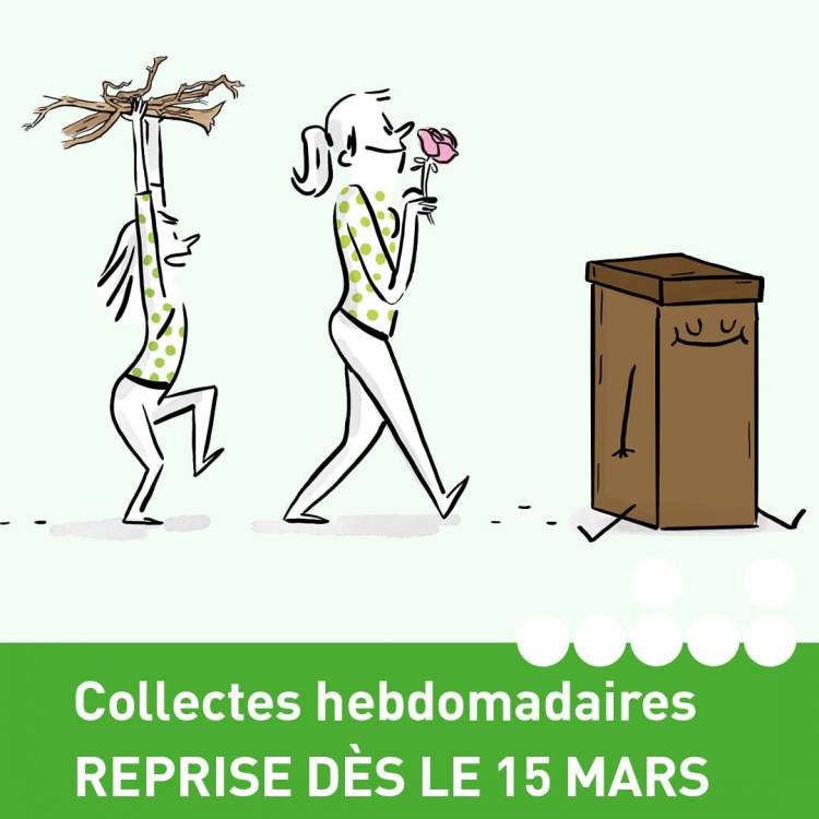 Collecte des déchets verts : reprise lundi 15 mars