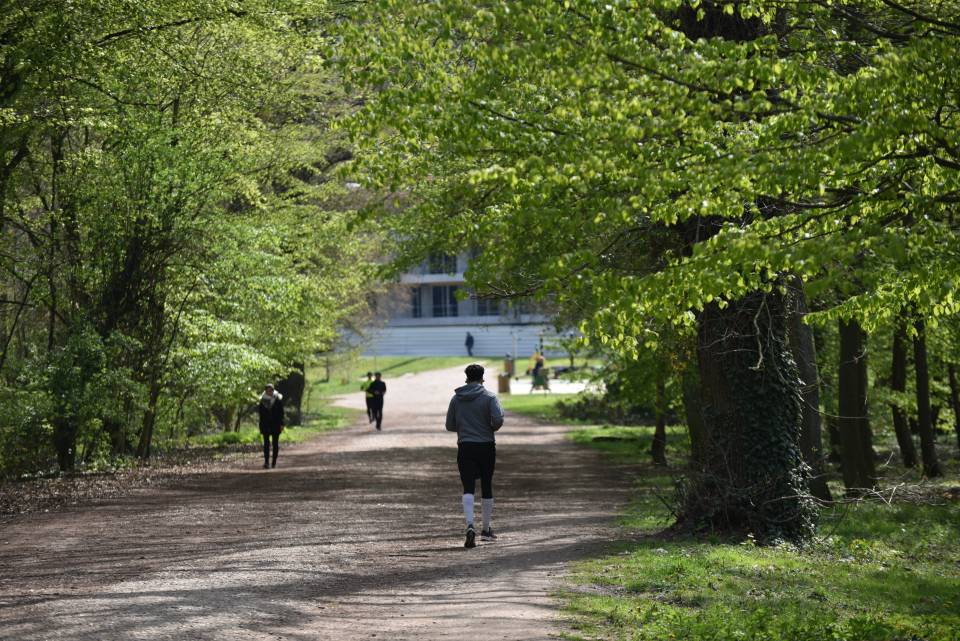 Un parcours santé dans les bois : 10 défis sportifs à relever