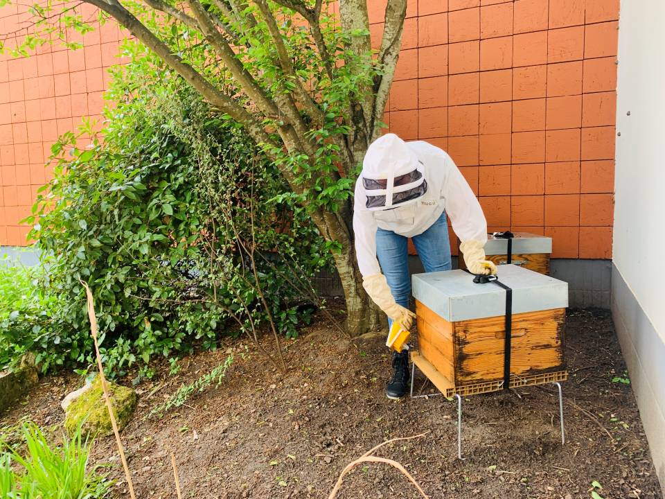 Apiculture urbaine : deux ruches à la caserne des pompiers