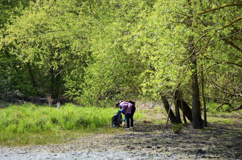 Opération forêt propre : samedi 2 octobre