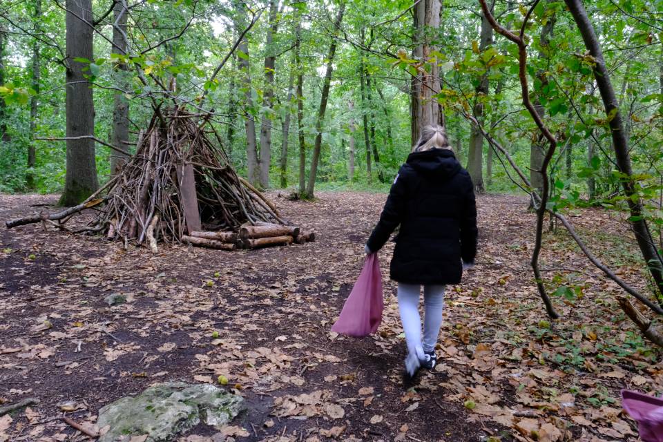 Opération forêt propre :  un bilan riche d'enseignements