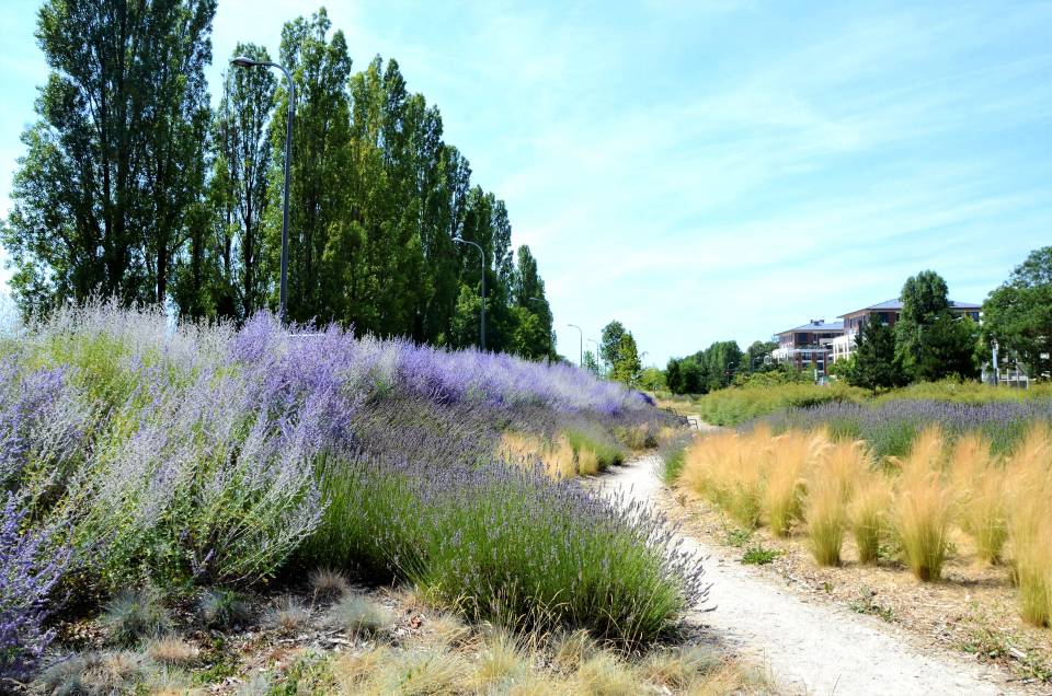 « Villes et villages fleuris » : Vélizy-Villacoublay doublement récompensée !