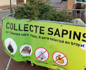 Recyclez votre sapin !