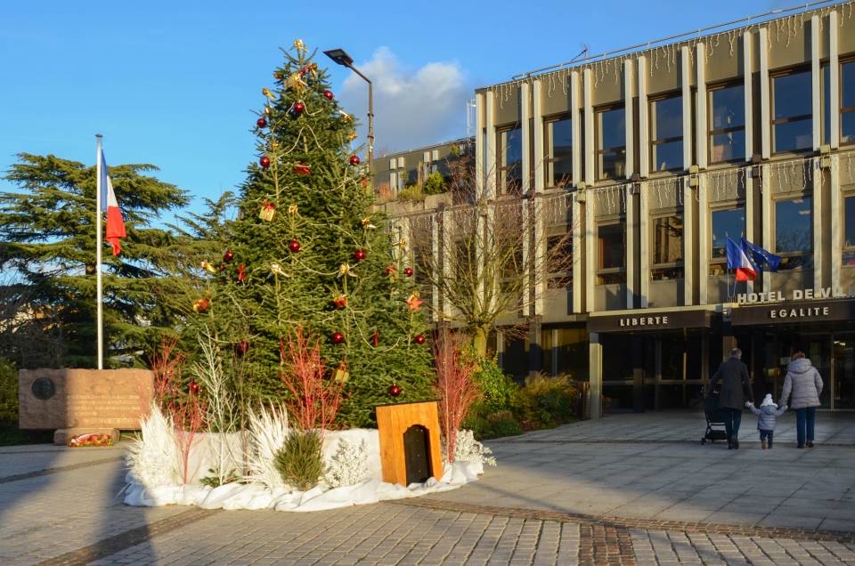 Un sapin qui sort de l'ordinaire sur le parvis de l'hôtel de ville