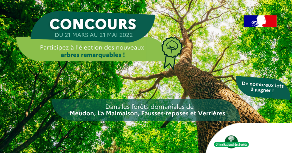 Concours ONF : participez à l'élection des nouveaux arbres remarquables