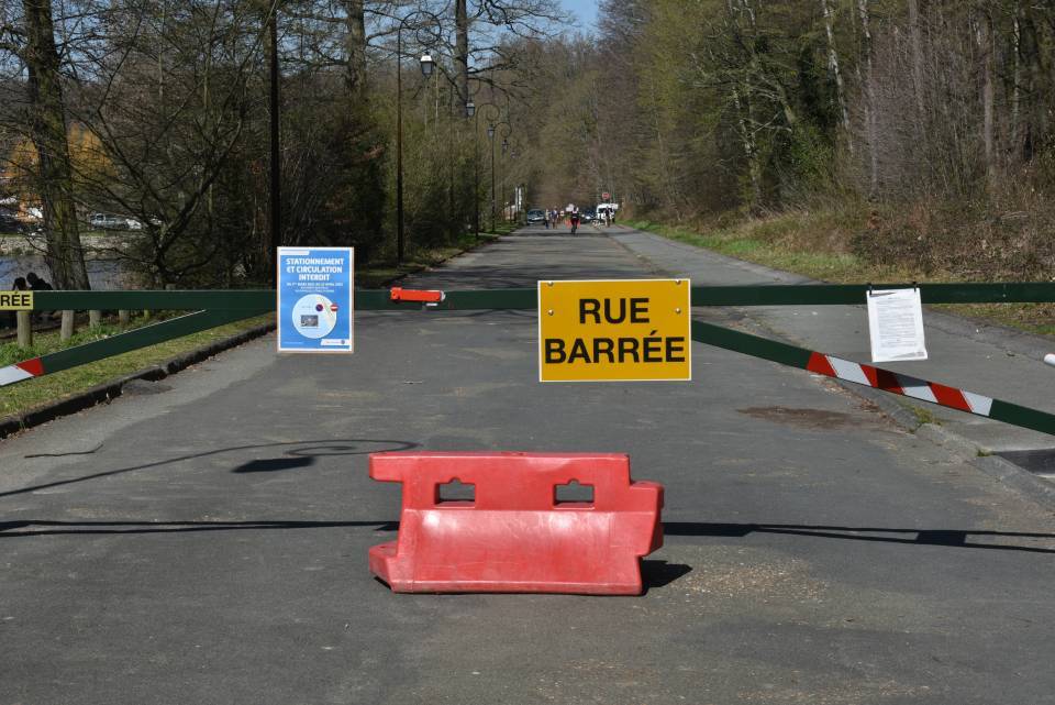 Migration des crapauds : fermeture de la rue Morte Bouteille à partir du 9 mai 