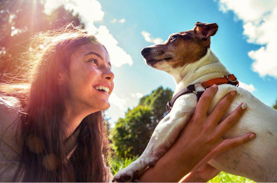 Atelier Petsitting : inscrivez-vous