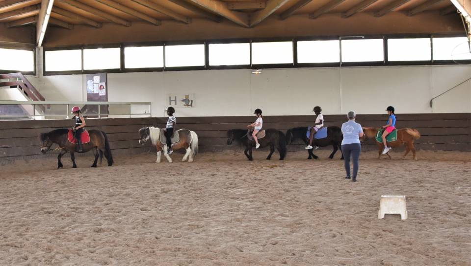 TAP - Découvrez l'atelier poney