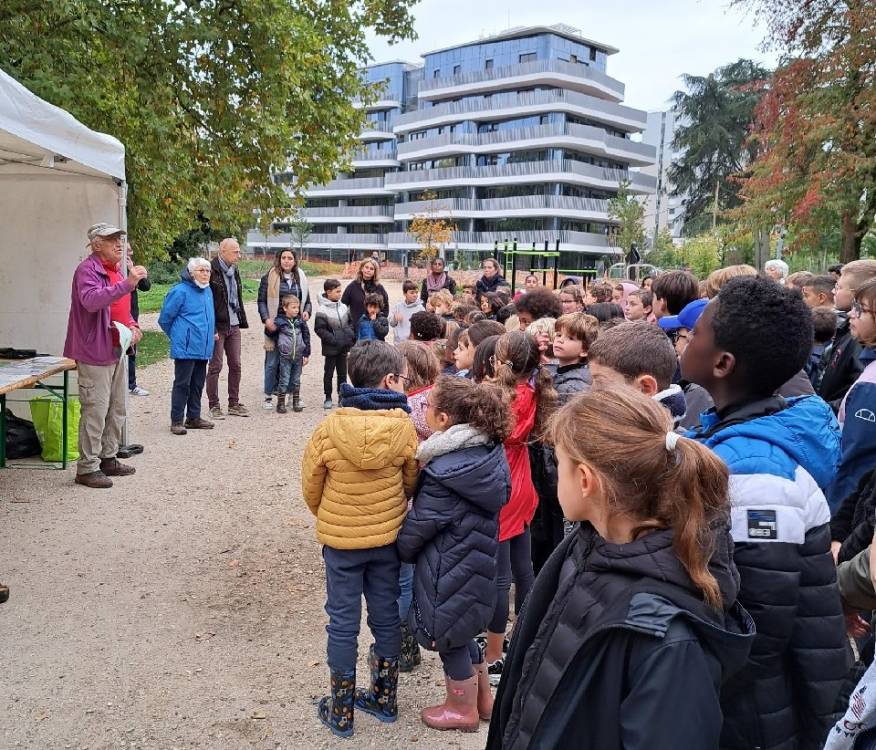 Retour sur l'opération Forêt Propre avec les écoles véliziennes  