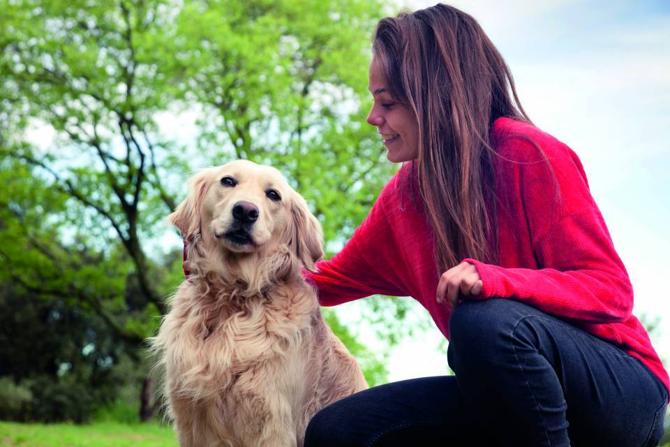 Pet-sitting ou baby-sitting, profitez de formations spécialisées !