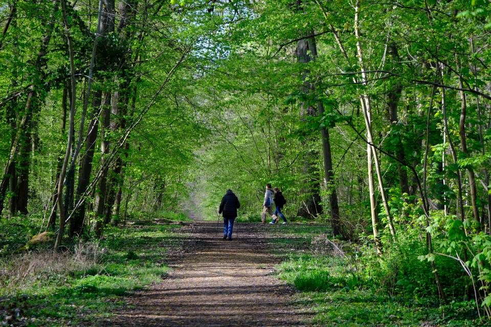 Forêt domaniale : des jours en accès interdit au public à prévoir