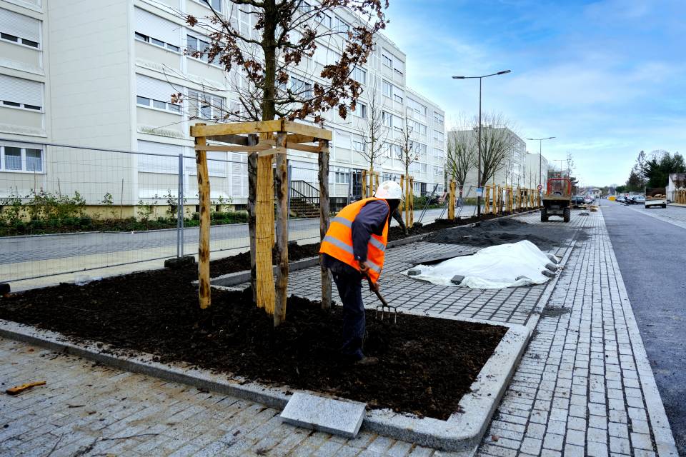 Rénovation de l'avenue de Picardie 