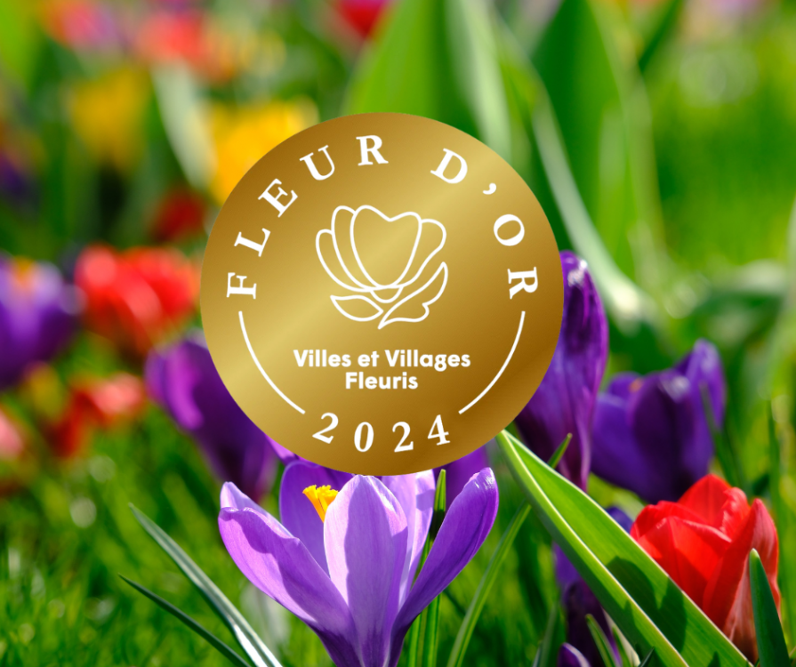 Vélizy-Villacoublay décroche la fleur d’or !