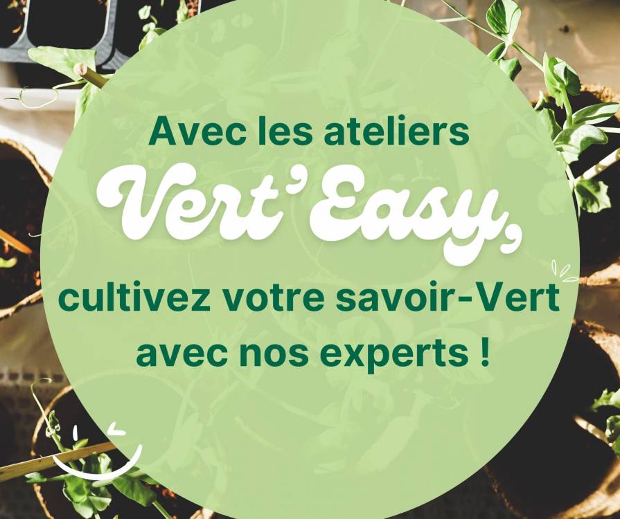 Ateliers Vert'Easy : Les inscriptions sont ouvertes !