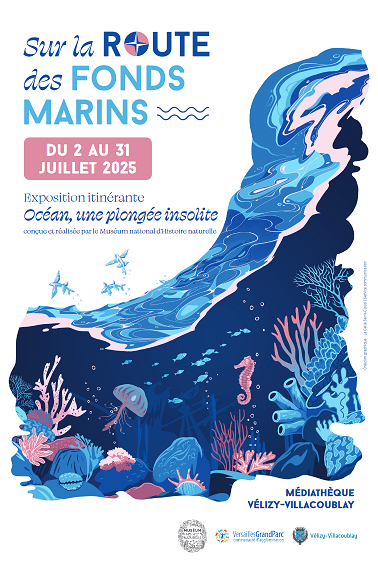 Exposition Océan, une plongée insolite !