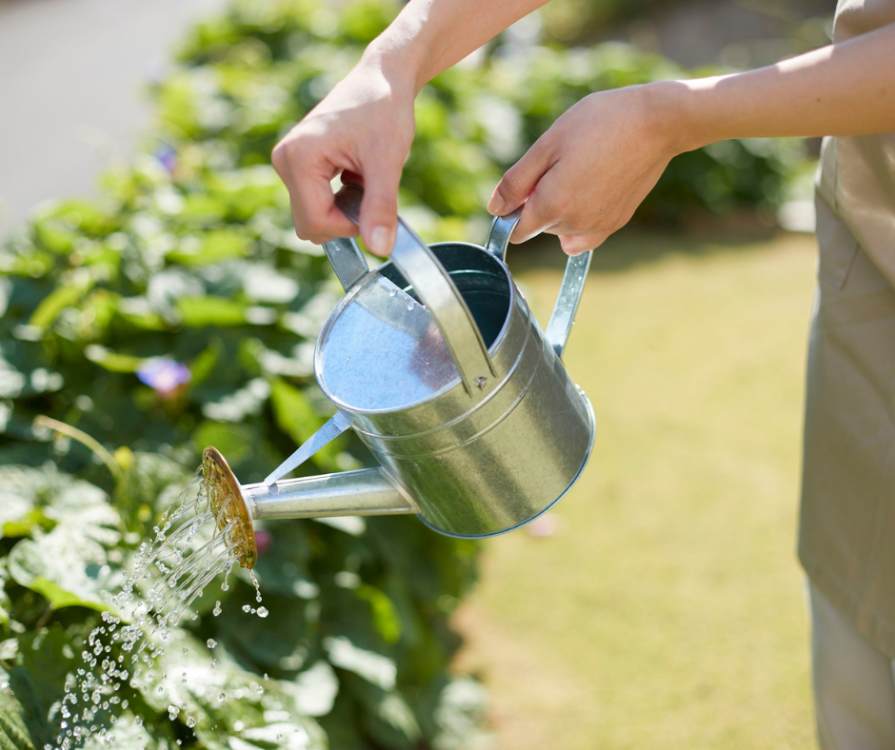 Tuto vidéo Vert'Easy : Vous partez en vacances ? Voici comment arroser vos plantations