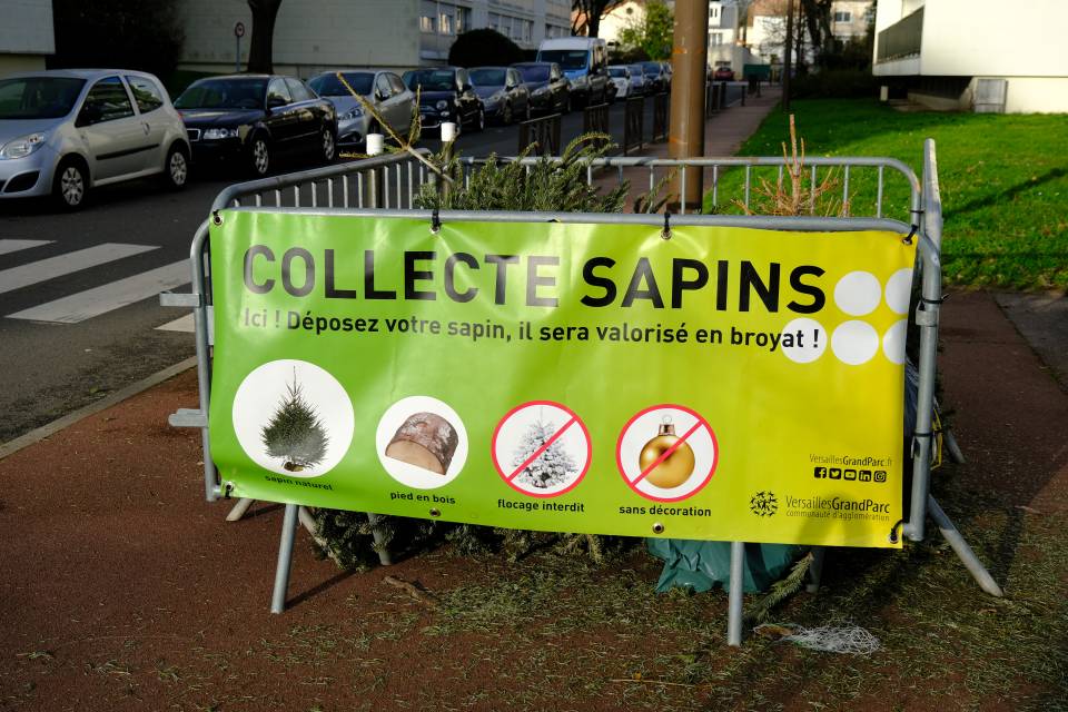 Parc à sapin : donnez une seconde vie à votre sapin en le recyclant ! 