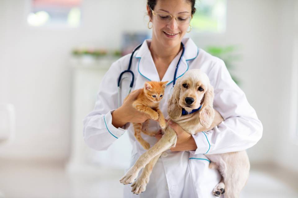 La mutuelle communale intègre une offre dédiée aux animaux de compagnie