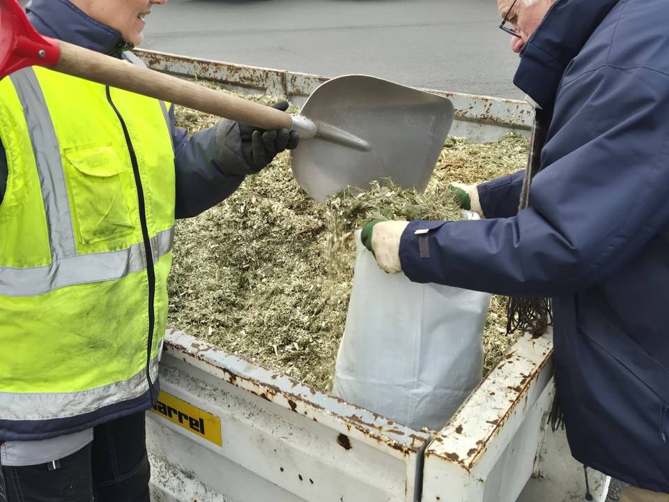Parcours de vie d'un sapin : de chez vous aux parterres de tous ! 