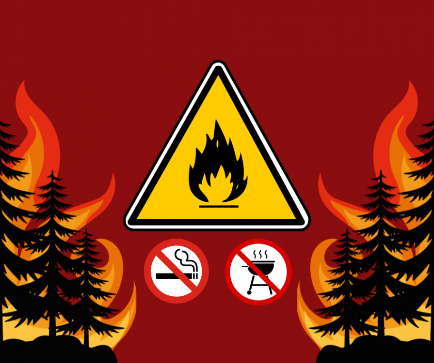 Nouvelles restrictions en forêt face au risque de feux