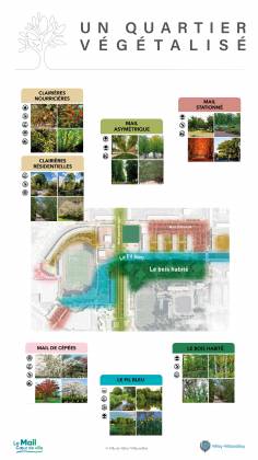 Projet Le Mail, Cœur de ville 